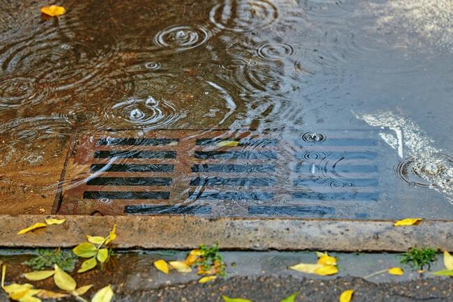 Clogged storm drain