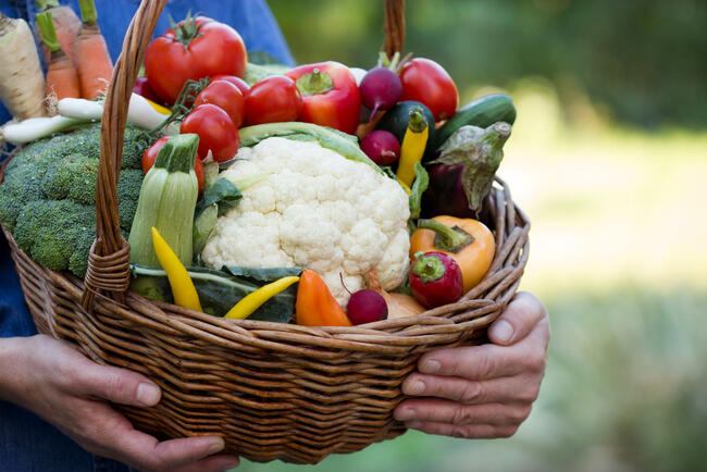 FarmFolk City Folk Feast of Fields